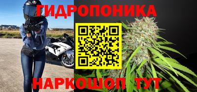 молекула духа Можга