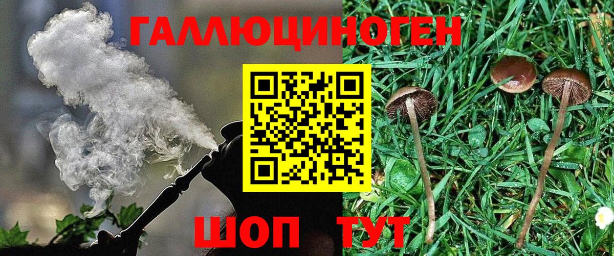 Псилоцибиновые грибы Psilocybine cubensis  Вход с VPN  Анжеро-Судженск 